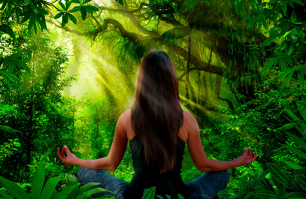 Imagem sobre Meidicina Ayurvédica com Alexandre Chagas 